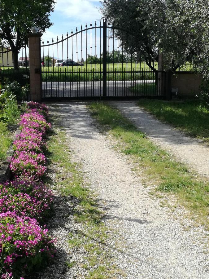 Casa Fiorelli Lägenhet Passaggio di Assisi Exteriör bild