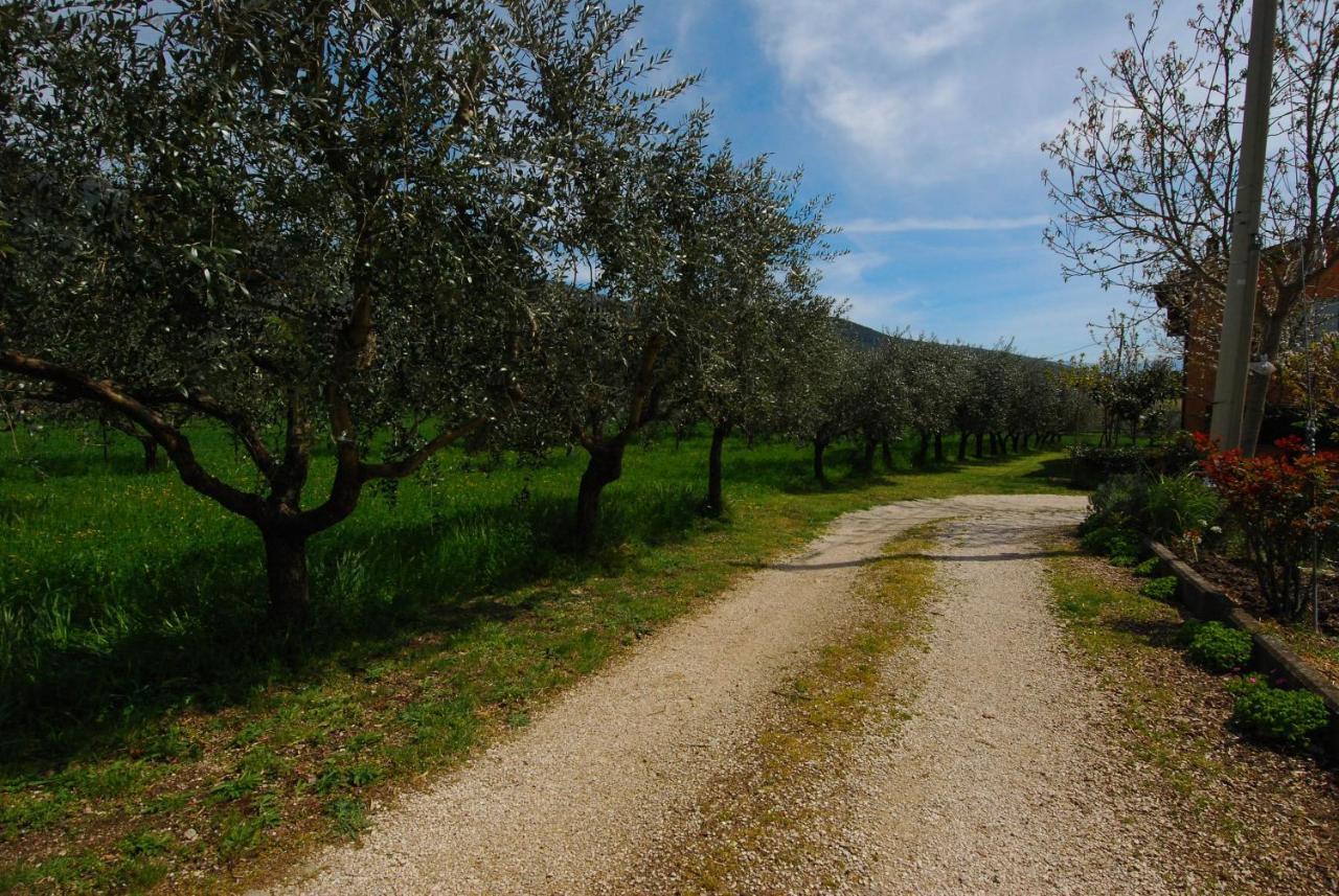 Casa Fiorelli Lägenhet Passaggio di Assisi Exteriör bild